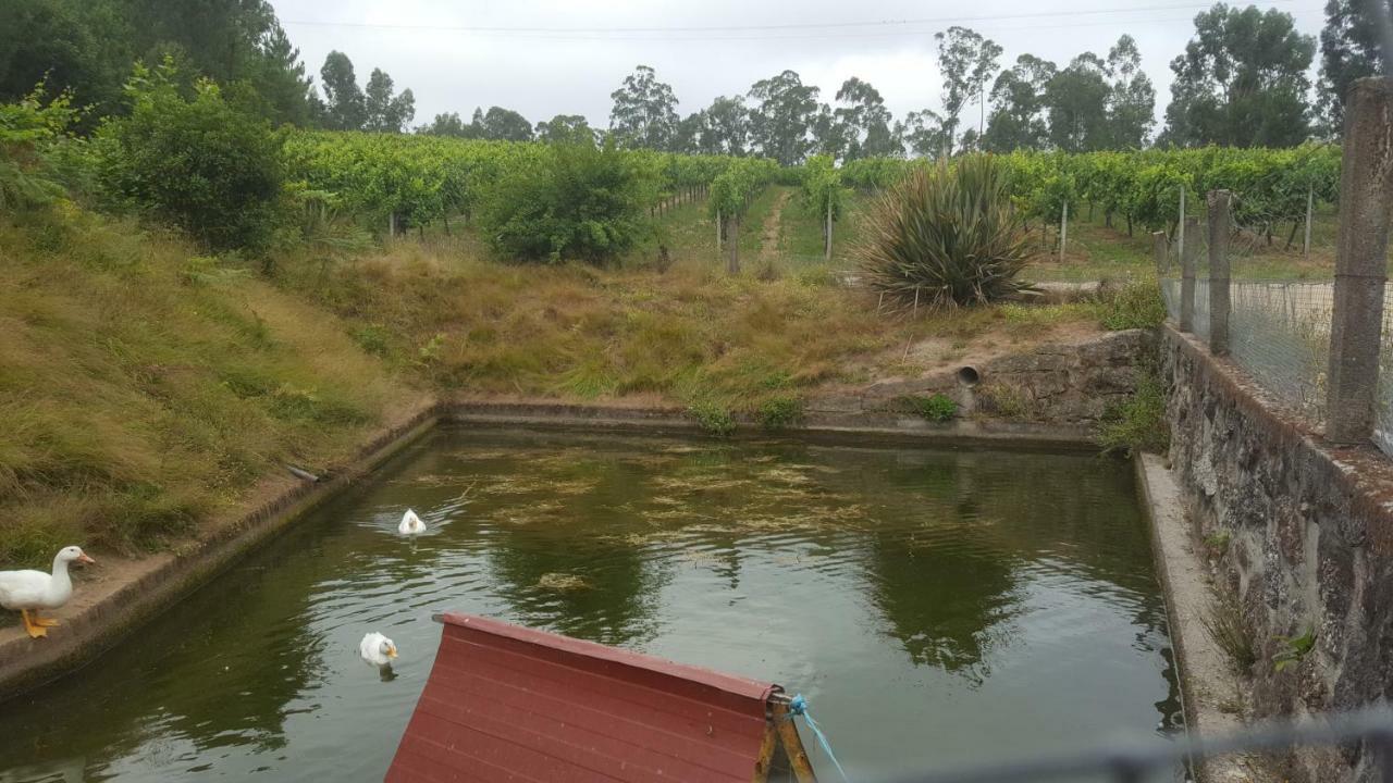 Quinta D'Areda Wine&Pool Experience Guest House Fafe Ngoại thất bức ảnh